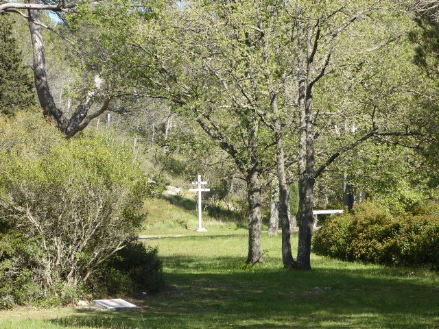 Blick in Gedenkstätte Vallon des Fusillés