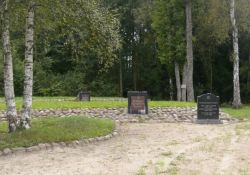 Gräber im Wald von Luponiai 