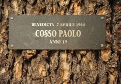 Für jeden der „Ragazzi della Benedicta“ ein Baum