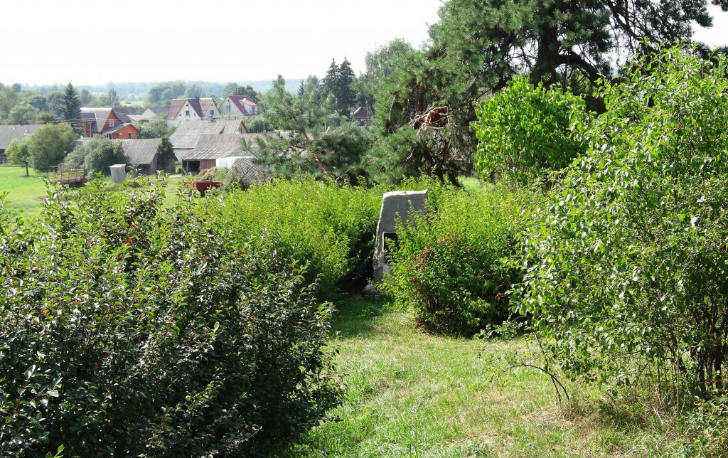 Alter Jüdischer Friedhof 