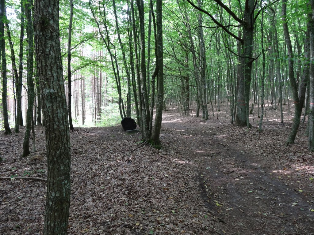 Gedenkort III im Wald von Šilinė