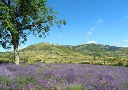 Drôme provençale; Quelle: Wikipedia