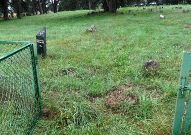 Eingang zum alten jüdischen Friedhof