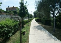 Strada Valsugana