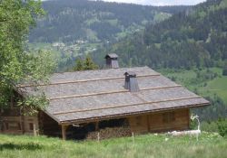 eine Almhütte (heutiger Zustand)